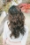 wedding-hairstyles-10.jpg